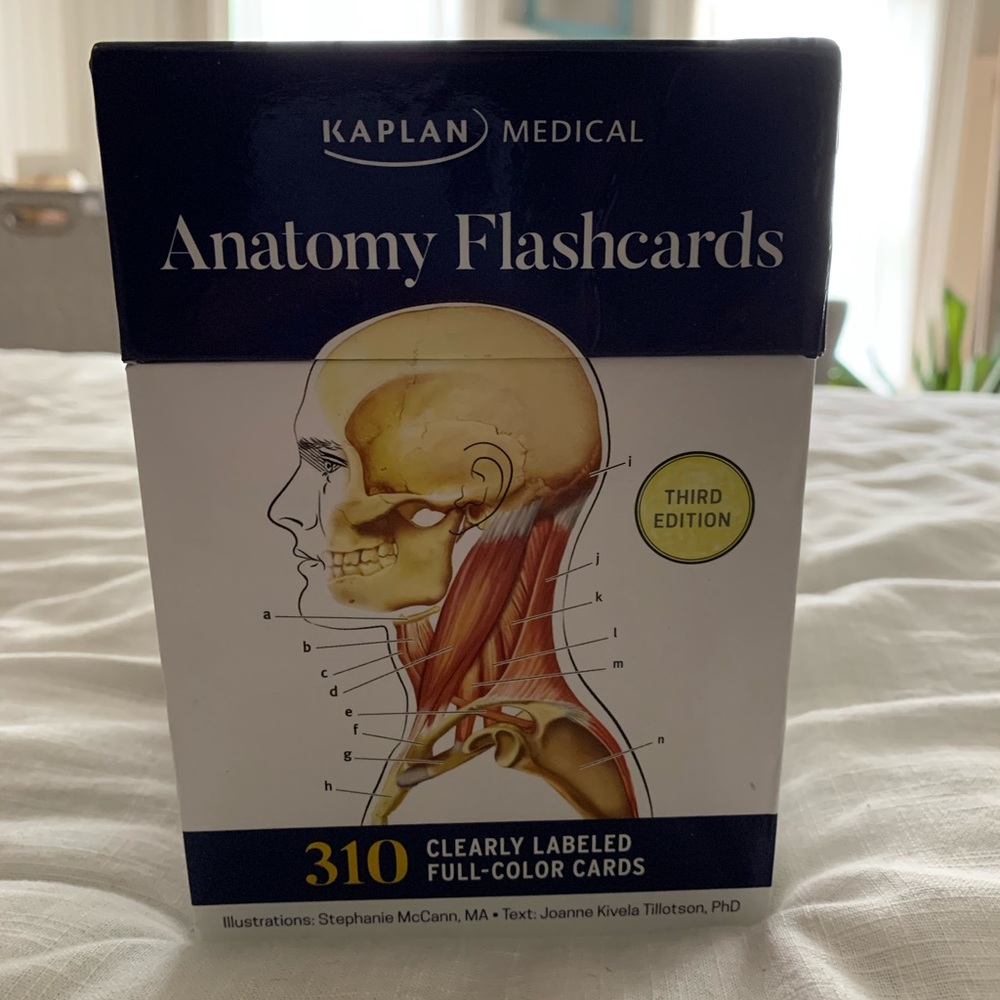 Anatomy flash cards